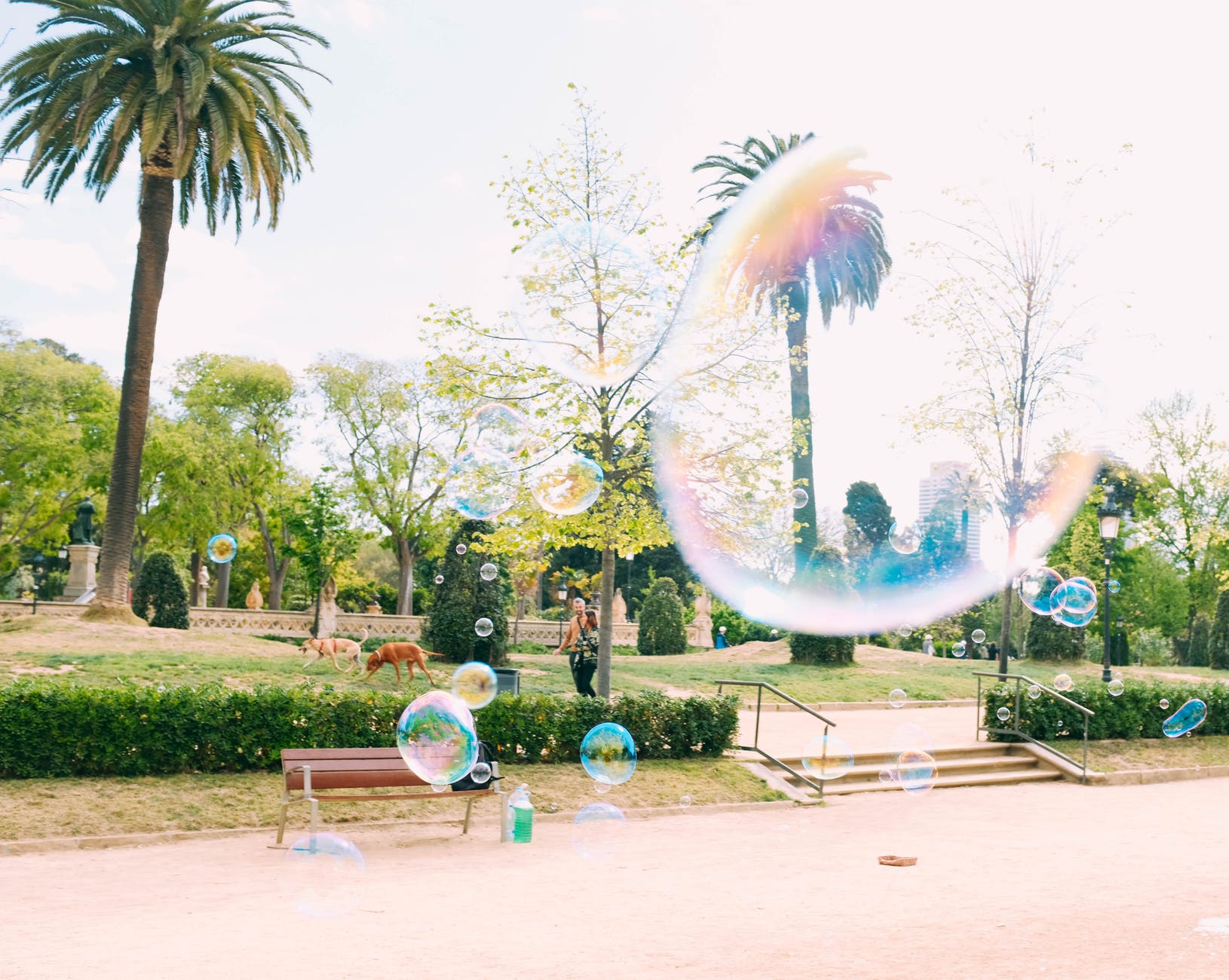 bubbles floating during daytime